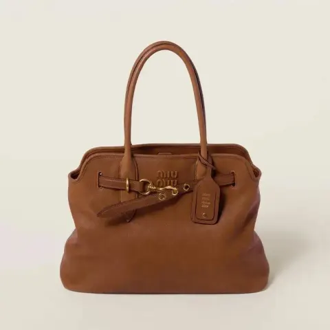 Miu Miu Bag option Brown