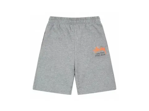 Stussy Shorts option 1005# gray