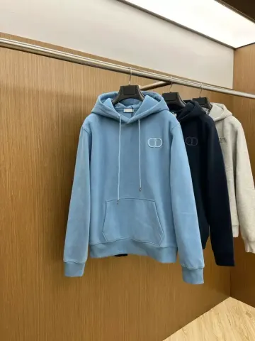Christian Dior Basic Hoodie option Grey