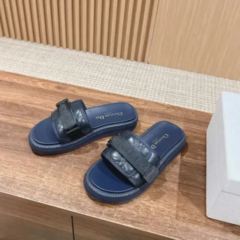Dior Slides option blue black embroidery