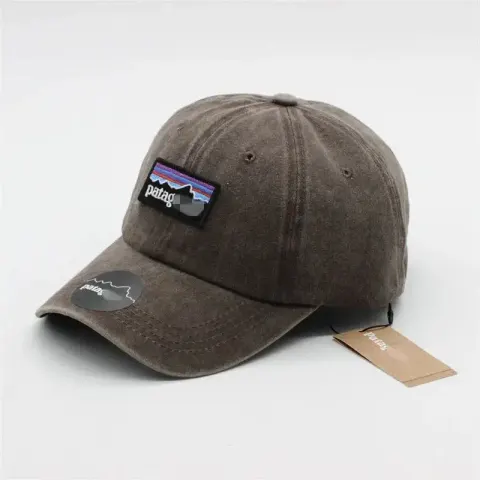 Patagonia Cap option Coffee