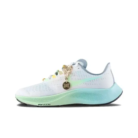 Nike Pegasus 37 option Pegasus 37-Blue-Green