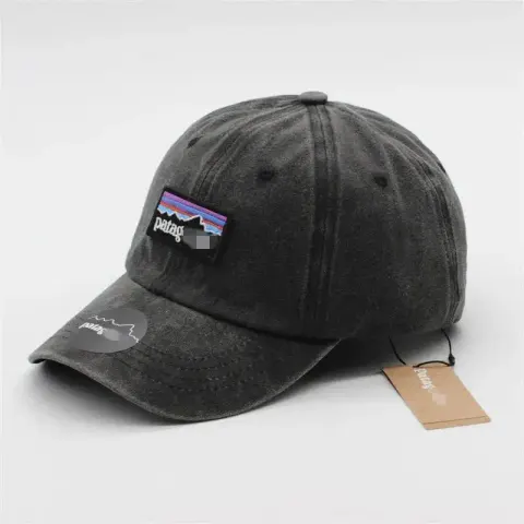Patagonia Cap option Black