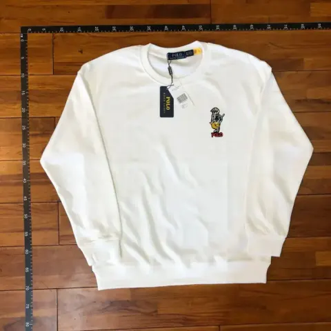 Ralph Lauren Hoodie option 3