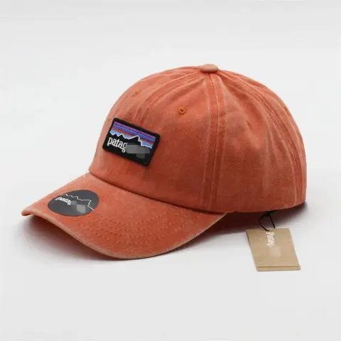 Patagonia Cap option Orange